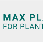 Max Planck Institute for Plant Breeding Research, Group Fulgione